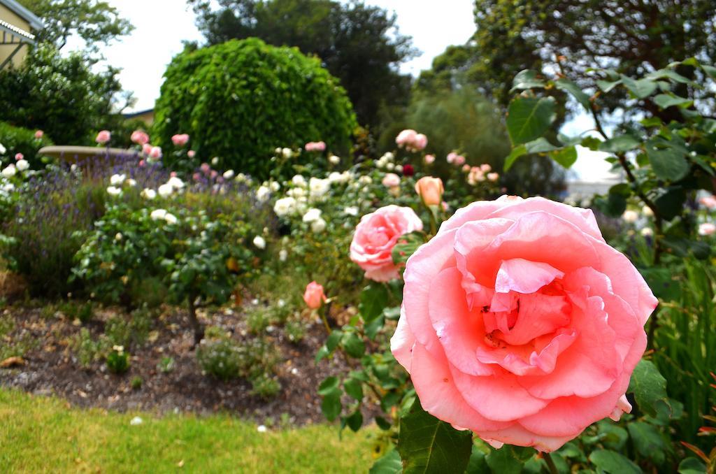 Dunmoylen House Bed & Breakfast Albany Room photo